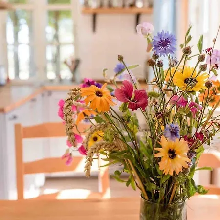 Erholung Gesucht Erholung Gebucht 800m Zum 펜션