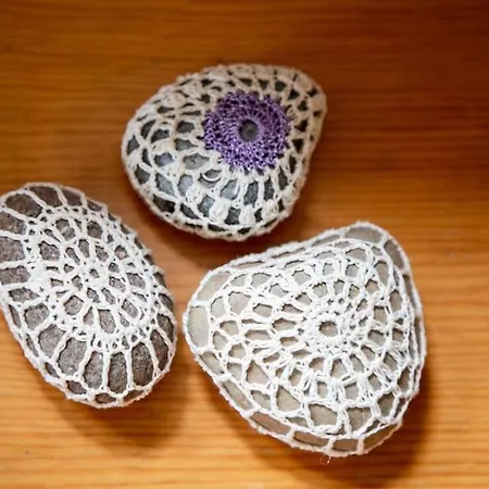 Erholung Gesucht Erholung Gebucht 800m Zum 펜션 *