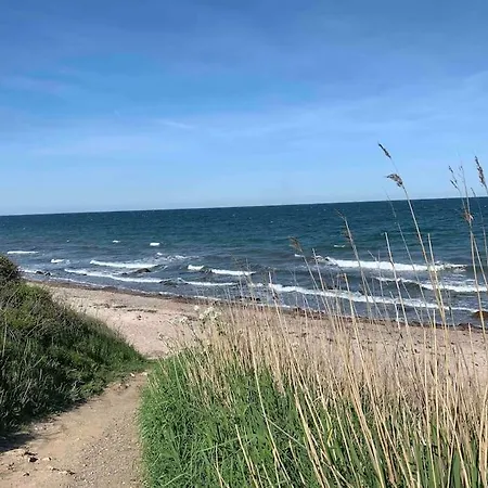 Erholung Gesucht Erholung Gebucht 800m Zum 페마른